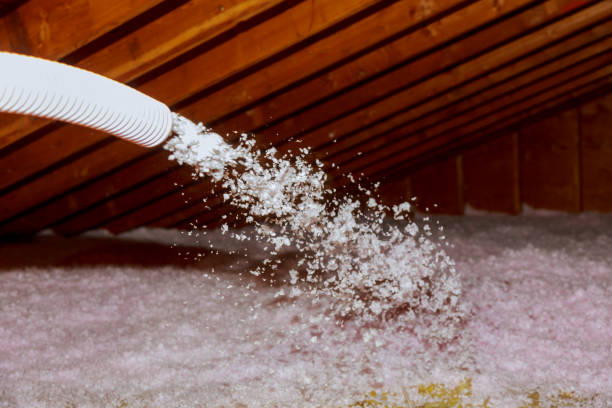 Best Insulation Maintenance and Repair in St Charles, MN