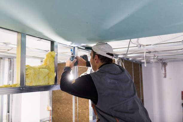 Best Energy Efficiency Solutions in St Charles, MN