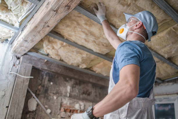 Best Insulation for Specific Applications in St Charles, MN
