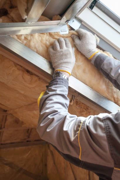 Best Insulation Installation Services in St Charles, MN