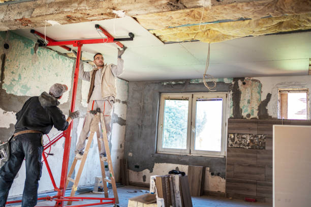 Best Insulation Maintenance and Repair in St Charles, MN